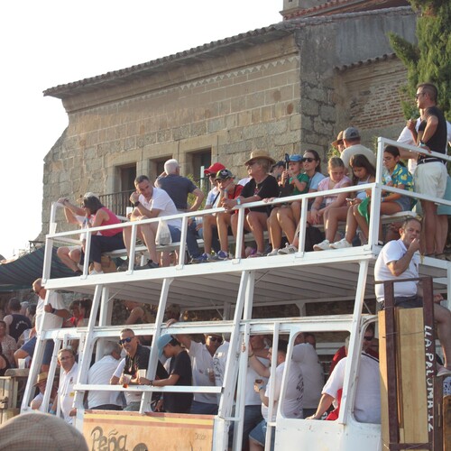 toros 21 agosto 2025 (10)